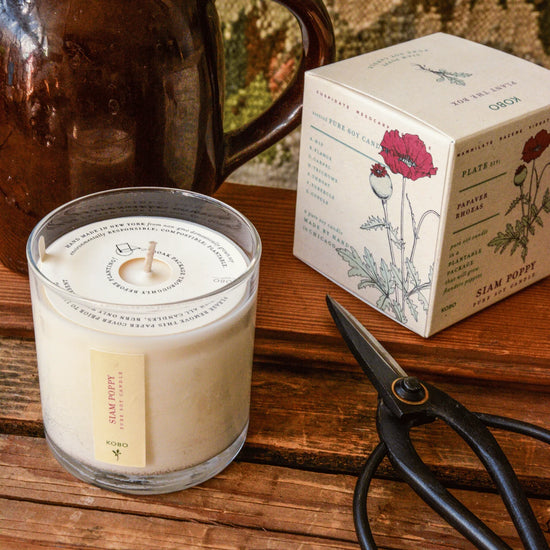 Siam Poppy Candle by KOBO Candles