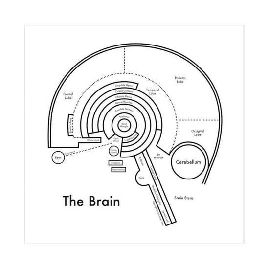 The Brain Letterpress Print by Archie's Press