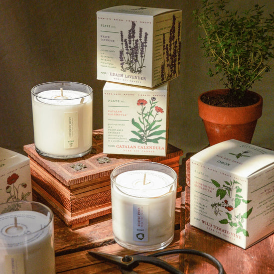 Somerset Thyme Candle