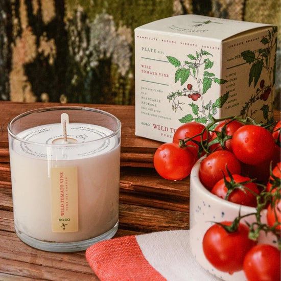 Wild Tomato Vine Candle by KOBO Candles