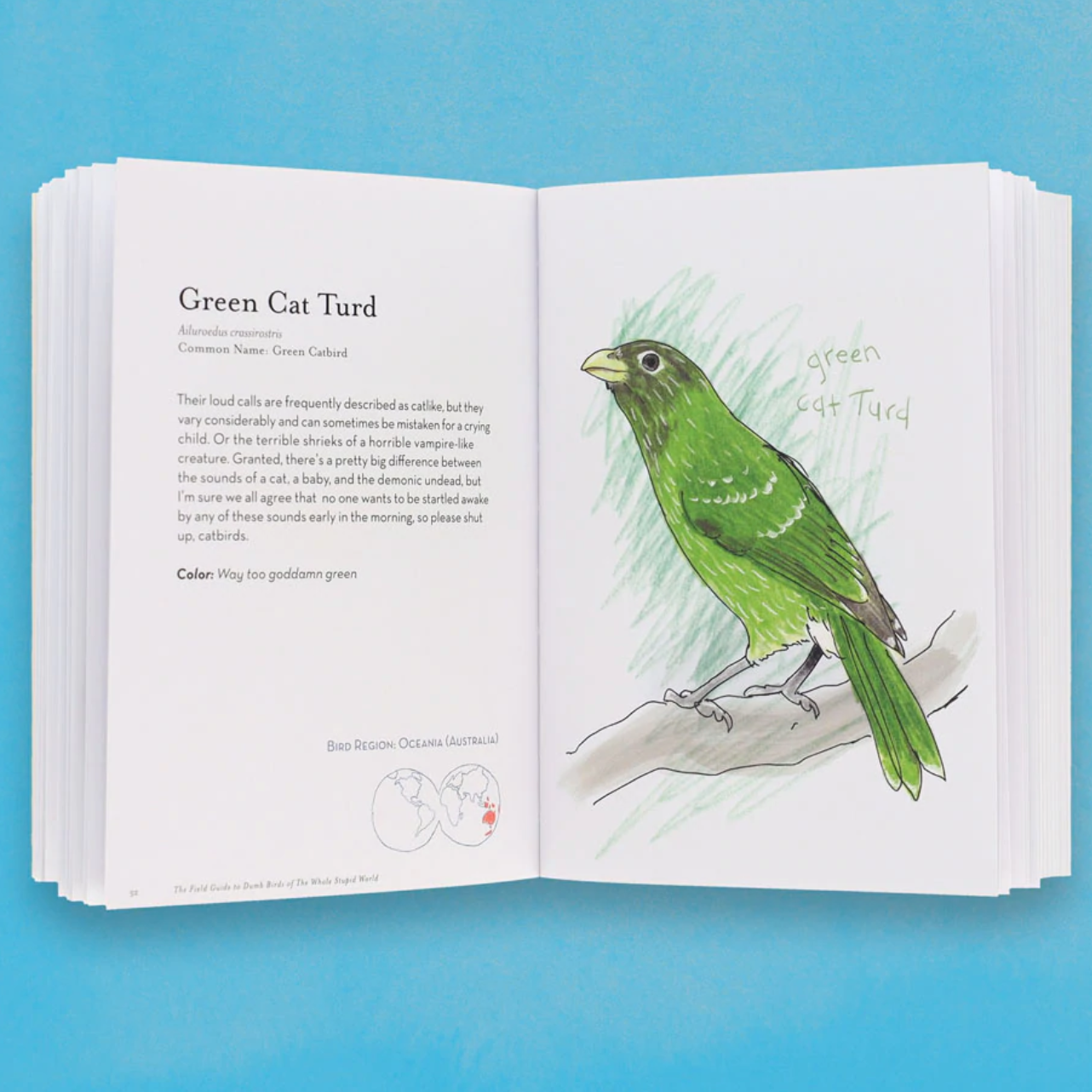 The Field Guide to Dumb Birds of the Whole Stupid World by Matt Kracht